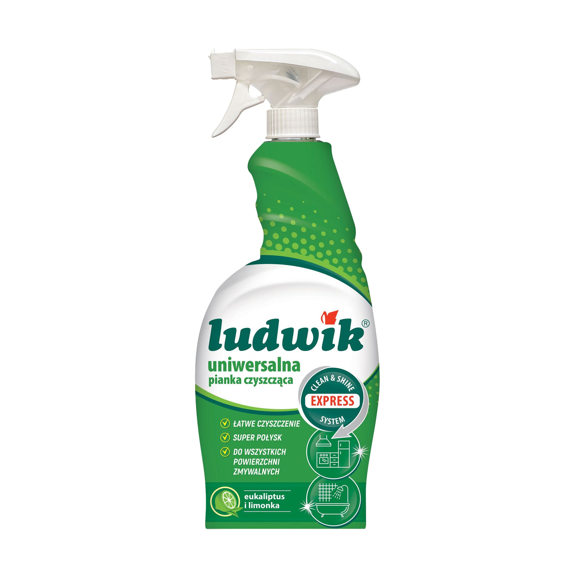 Уцінка! Універсальна піна-спрей для чищення Ludwik Clean &amp; Shine Express System, 750 мл